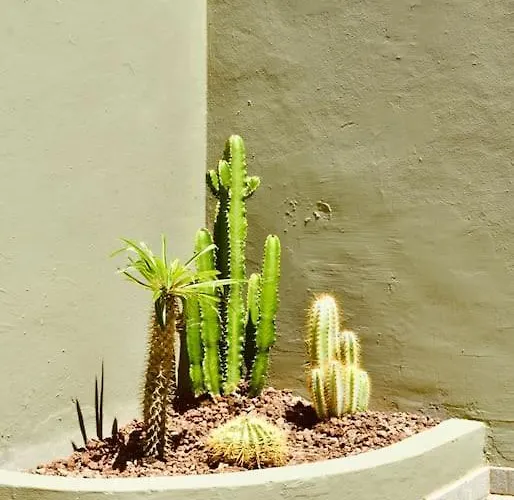 Апартаменты Nuevo En